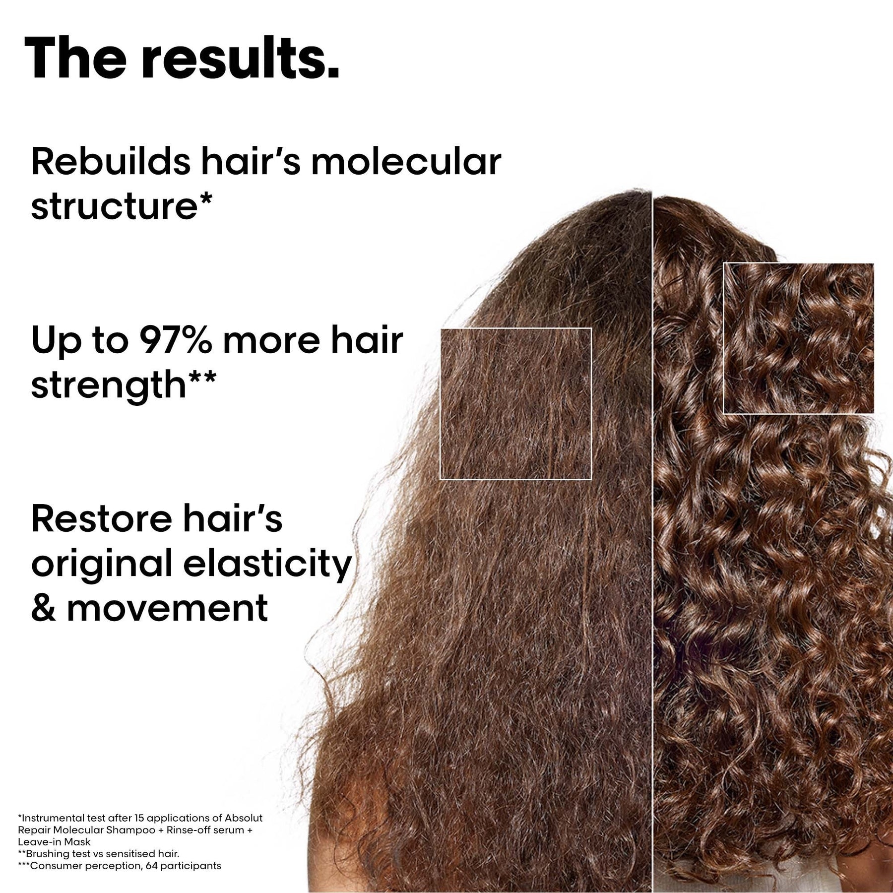 L'Oreal Absolut Repair Molecular Repair Hair Kit
