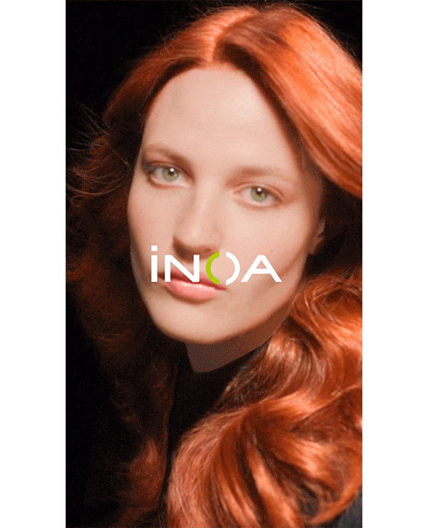 <h2>INOA</h2>
