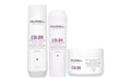 Goldwell Color Care Set