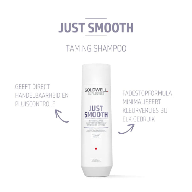 Goldwell Goldwell Just Smooth Taming Shampoo