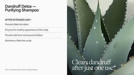 Keune Care Dandruff Detox Shampoo 300ml kopen bij Hairwebshop