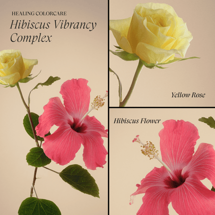 LANZA Healing Colorcare Clarifying Shampoo 300ml kopen bij Hairwebshop