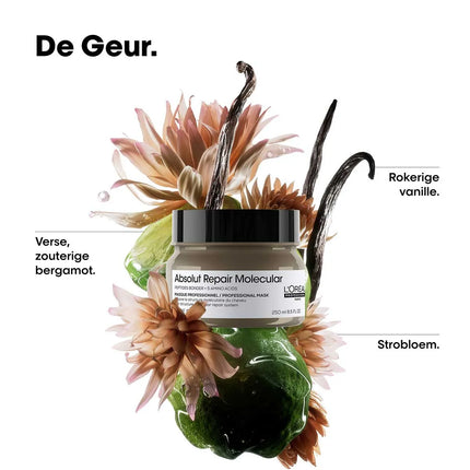 L'Oreal Professionnel L'Oreal Absolut Repair Molecular Masker