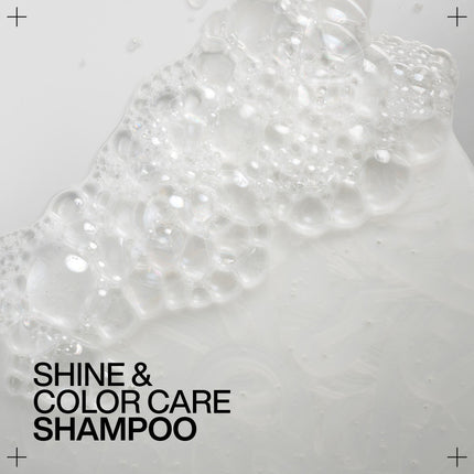 Redken Redken Acidic Color Gloss Shampoo