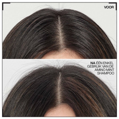 Redken Amino-Mint Shampoo
