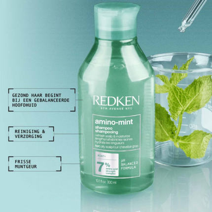 Redken Redken Amino-Mint Shampoo