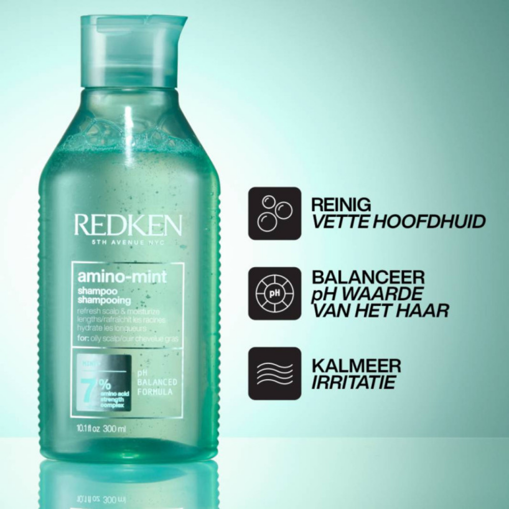 Redken Amino-Mint Shampoo