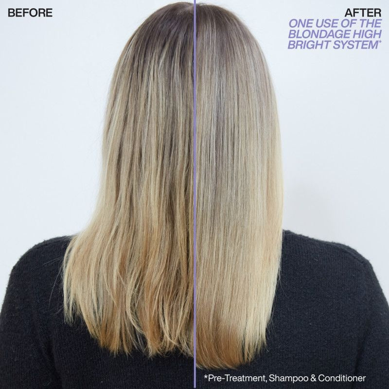Redken Blondage High Bright Luxe Set