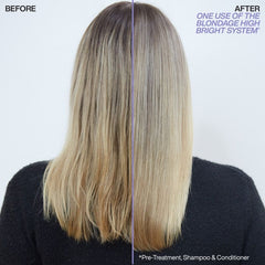 Redken Blondage High Bright Luxe Set
