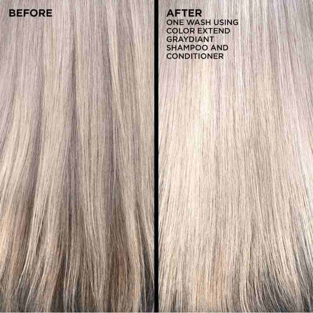 Redken Redken Graydiant Duo Set