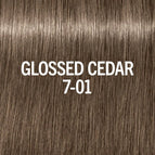 7-01 Glossed Cedar