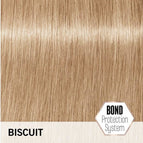 Biscuit