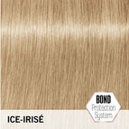 Ice-Irise