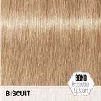 Biscuit